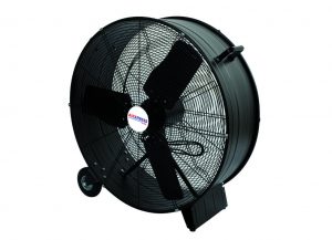 fan750-900-300x217