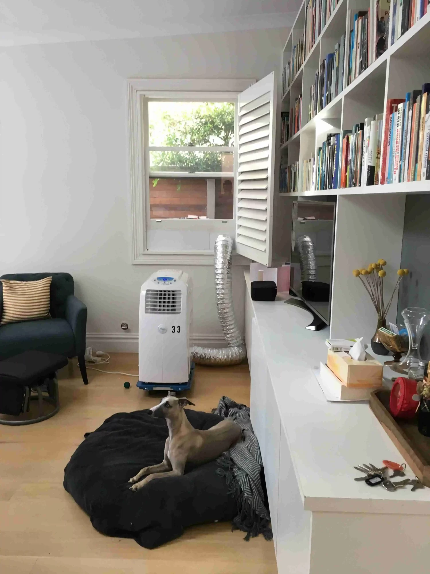 air conditioners and rentals